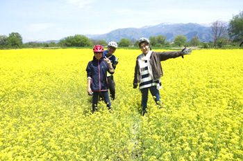 Madarao Mountain Bike Tour